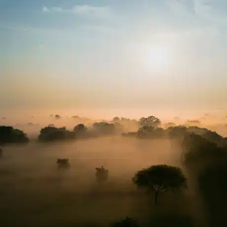 Chhattisgarh