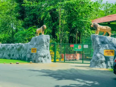 Lion Safari Wildlife Park