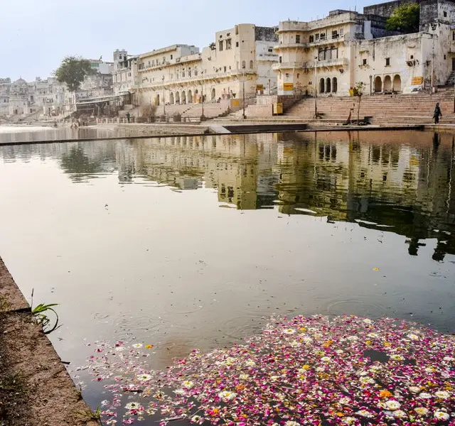 Pushkar Meer