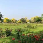 Rose Garden Chandigarh