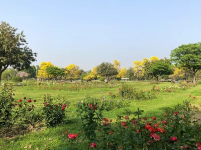 Rose Garden Chandigarh