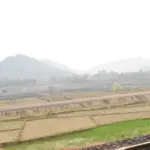 Araku Vallei
