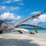 Havelock Island