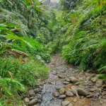 Namdapha Nationaal Park