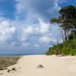 Neil Island