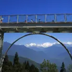 Pelling