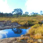 Phawngpui Nationaal Park