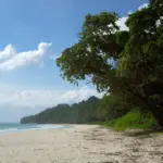 Radhanagar Beach