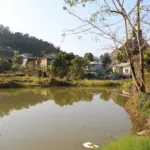 Thenzawl